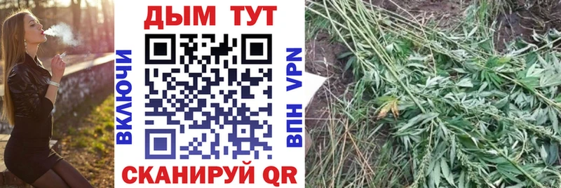 ГАШИШ Нижнеудинск
