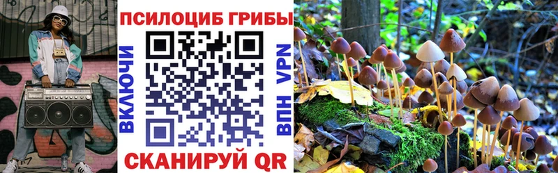мега рабочий сайт  Нижнеудинск  Псилоцибиновые грибы MAGIC MUSHROOMS 